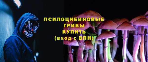 мяу мяу мука Осташков