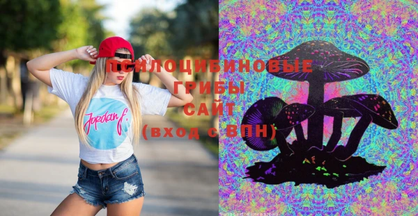 мяу мяу мука Осташков