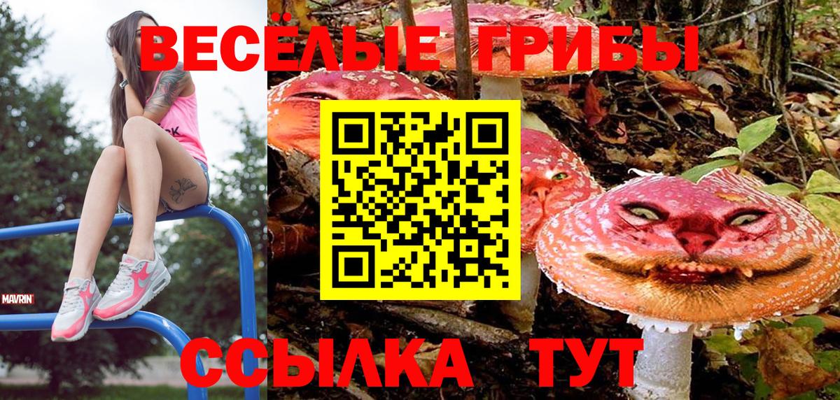 Псилоцибиновые грибы мицелий Звенигород