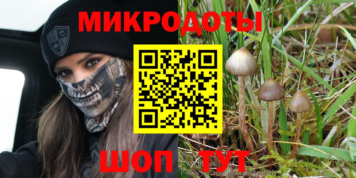 закладки  Вход с VPN  Звенигород  Псилоцибиновые грибы мухоморы 